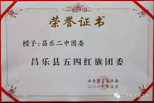 271教育結碩果，昌樂二中共青團工作獲多項榮譽